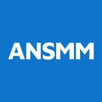 Associazione Nazionale Social Media Manager (@assnazionalesmm) 's Twitter Profile