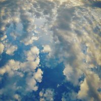 Shruti (@shruti79688953) Twitter profile photo