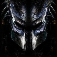 Predator (@predatorzd2022) 's Twitter Profile