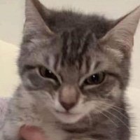 moved ! (@soiarluv) 's Twitter Profile