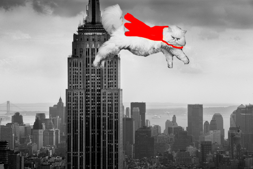 NickHillemann's profile picture. Photographer, Car guy, Parts guy.
I love my fiance' and being outdoors.