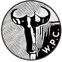 Wildebeest Publishing Company(@hellobeesties) 's Twitter Profile Photo
