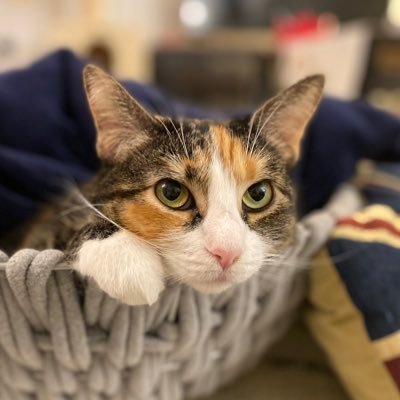 yozaki_tw's profile picture. Nothing to see here.