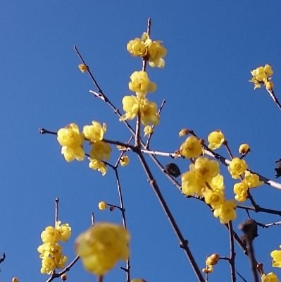 東京 多摩地区在住の永遠の厨二病爺さん。
好奇心旺盛、実はオタクだったりする。
仕事の関係で否応なく夜型人間。
182cm/85kg
好きなモノ : 深夜のドライブ/夜景/ゲーム/音楽(Jazz·Rock·Classic)/アニメ/テニス/ぱち/温泉/生き物/星空/宇宙