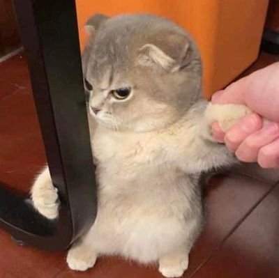 first911acc's profile picture. 