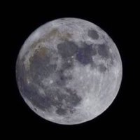 Moon💚🤍👑❤️🕊 (@springforall) 's Twitter Profile