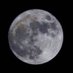 Moon💚🤍👑❤️🕊 (@springforall) Twitter profile photo Moon💚🤍👑❤️🕊 (@springforall) Twitter profile photo
