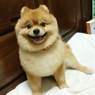 日本の国を守るため政治活動をしています。日本改革党が好きです、大好きです。愛しています。必ずや我が国を守ってくれます。神州不滅