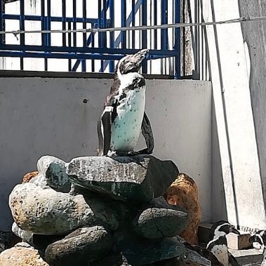 qMHurjjpILeYsVN's profile picture. 何気ないものを丁寧に作りたいです。