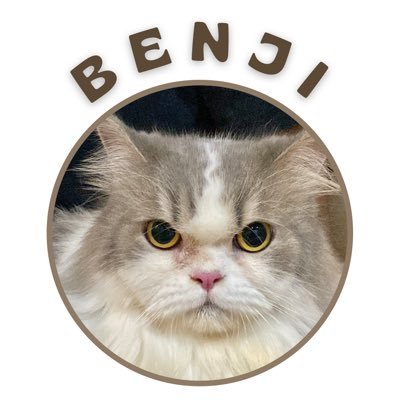 Hai, ayo berteman miaw!🐱 || Male, August 28th 2018 - anak kost, full indoor