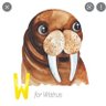 WageWalrus's profile picture. rsn: XenonBloom 2018/2277 4/23