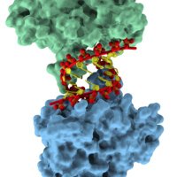 CRNA (@hiv1crna) 's Twitter Profile