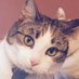 Stephanie Skinner (@spider_manninja) Twitter profile photo Stephanie Skinner (@spider_manninja) Twitter profile photo