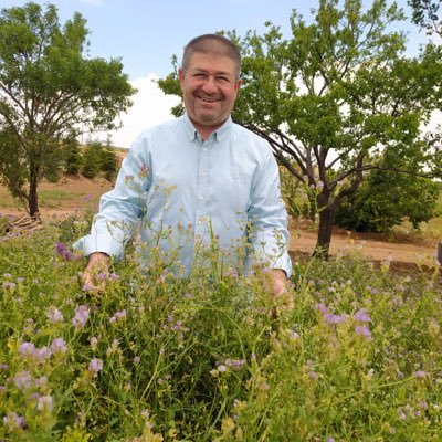 Prof.Dr.Mehmet Ali Avcı