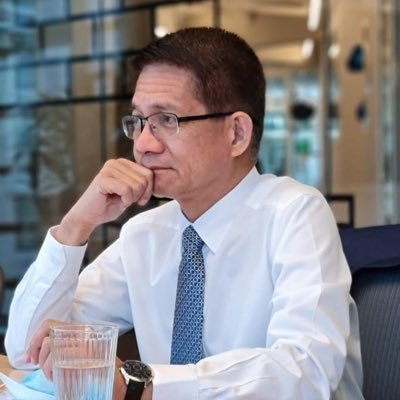 Filipino Diplomat-Lawyer based in The Hague