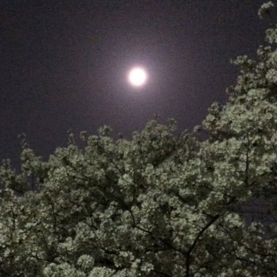 唯月さんのプロフィール画像