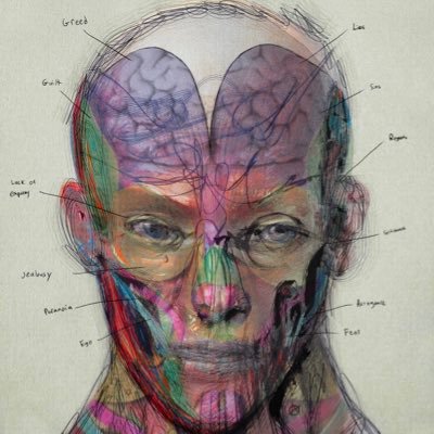 Exploring the intersection of human anatomy and the human condition
https://t.co/xjdbah2VJ2