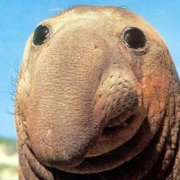 Horace Finkelstein (@horacethe1st) 's Twitter Profile Photo Horace Finkelstein (@horacethe1st) 's Twitter Profile Photo