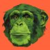 Greenish Monkey (@MonkeyGreenish) Twitter profile photo