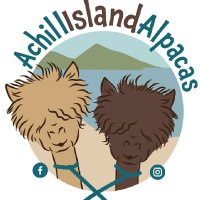 achillislandalpacas (@alpacasofachill) 's Twitter Profile