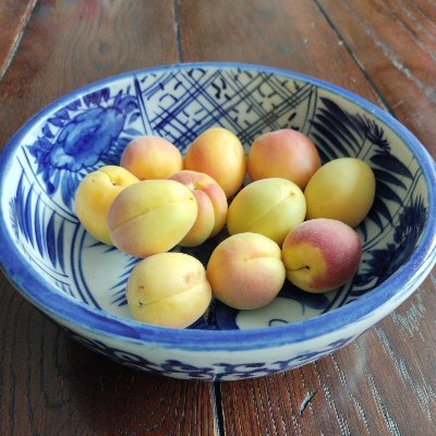 bitfresser's profile picture. 