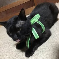 ミルキー(๑╹ω╹๑ ) (@ygpr5kmdtth3ohp) 's Twitter Profile