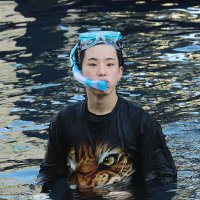 artemis ๐๐โจ (@aostark_) 's Twitter Profile