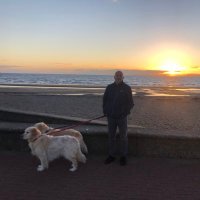 jan krokowski (@janthealgaeman) 's Twitter Profile