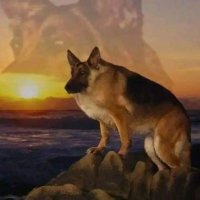 Omar Ahmed (@omar66005) 's Twitter Profile