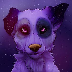 imerdev's profile picture. 