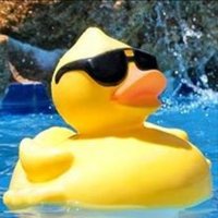 Bob 💙 (@bobellard1) 's Twitter Profile Photo Bob 💙 (@bobellard1) 's Twitter Profile Photo