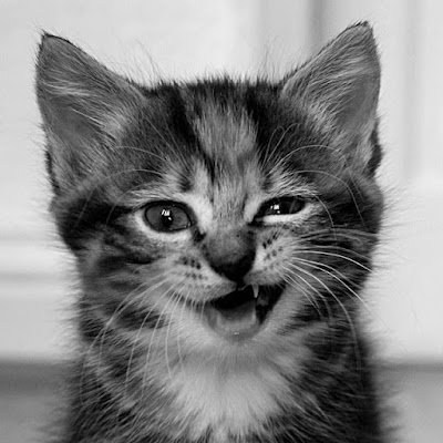 JennyArteta3's profile picture. 