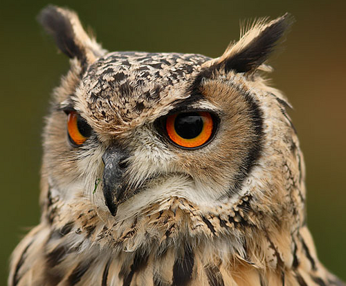 JamieAMacIver's profile picture. I was born in a place, went to some schools, and eventually got a job. Probably in that order.