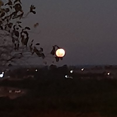 tô aqui pra reclamar, se fosse pra agradecer tava em aparecida do norte