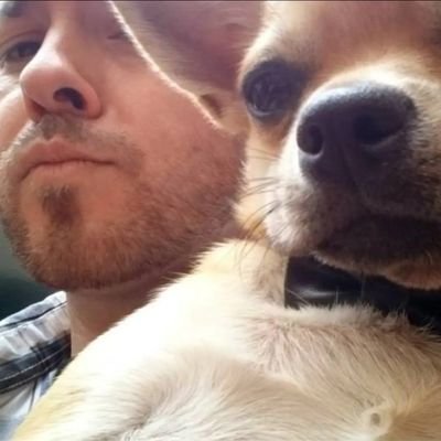 I ❤️🍺🎮🐶 🐢🍕
YA VIENE EL RAGNAROOOOOOH
Recopilación de videos milenarios: https://t.co/d4TCJEfH6R