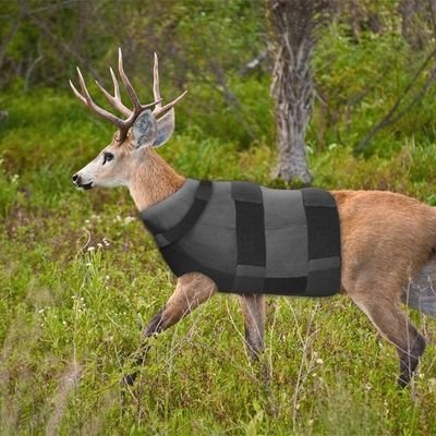 MagaPatriot111's profile picture. Mullet Ted 2024