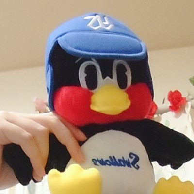 ヤクルト応燕垢🐧試合中はよく呟きます！九州の田舎から応燕してます！無言フォロー失礼します🙇‍♀️