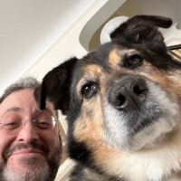 Avi Cooper (@avicooper) 's Twitter Profile