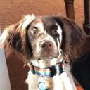 BanjoMinneapolis's avatar