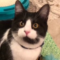 B (@blinnpi) 's Twitter Profile