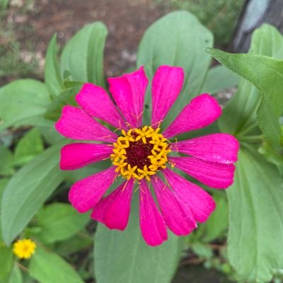 0911joy's profile picture. A Queen