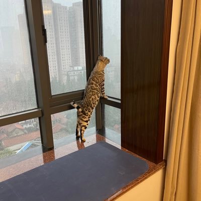 Security researcher, ethical hacker. I am interested in application security,RFID/NFC security,cloud security,payment security, Malware/Exploit analysis.