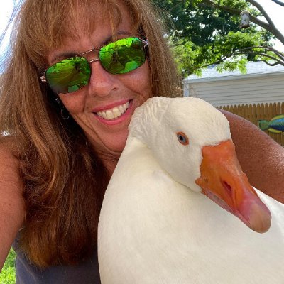 NY State Licensed Wildlife Rehabilitator and Federally Licensed with the U.S. Fish and Wildlife Service for Migratory Birds. 

Retired and loving it!!!