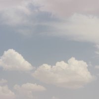 سلمان (@shamilanmutawa1) Twitter profile photo
