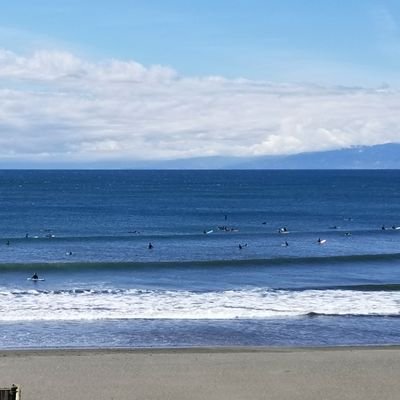 シラス醤油さんのプロフィール画像