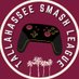 Tallahassee Smash League (@tallysmash) Twitter profile photo Tallahassee Smash League (@tallysmash) Twitter profile photo