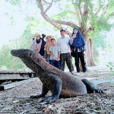 Paket Tour dan Liburan Labuan Bajo harga mulai dari Idr1250k Per Orang.