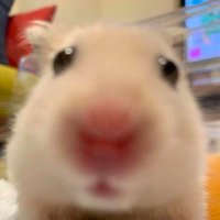 차송 (@chasong90) 's Twitter Profile