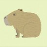gen34katsu's profile picture. ラジオネーム：なべんぼうラマーマ