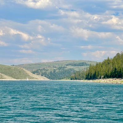 kevgraic's profile picture. #OpenTheBooks